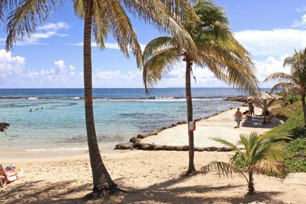 Archipel - Cocon D'Une Architecte En Guadeloupe Saint-Francois  Kültér fotó